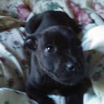 Laurie Farris - @mfarris9336 - Instagram