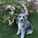 Laurie Farris-Macke - @farrismacke - Instagram