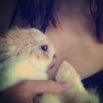 laurieferrante - @laurieferrante - Instagram