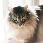 Lauren Ferrell - @laurenferrellphotography - Instagram