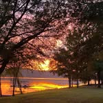 Laurie Ferrell - @laurie.ferrell.1 - Instagram