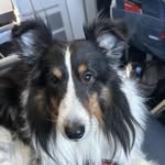 Laurie Ferrell - @laurieferrell69 - Instagram