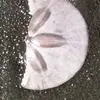 Laurie Ferrell - @laurie.ferrell - TikTok