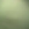 Laurie fields - @jenga3000 - TikTok