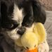 Laurie Fields - Facebook