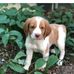 Laura Force - Facebook