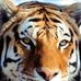 Laurie Gee - Facebook