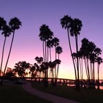 Laurie Gee - @laurie_gee_ - Instagram