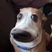 Laura Grayson - Facebook
