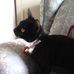 Lori Grayson - Facebook