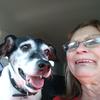 lauriegriffith855 - @lauriegriffith855 - TikTok