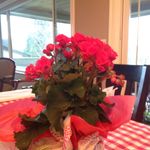 Laurie Grimm - @laurie_g48 - Instagram