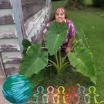 Laurie Guy - @laurie.guy.332 - Instagram