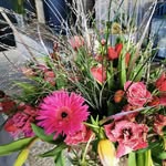 Laurie Guyon - @guyonlaurie - Instagram