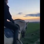 Laura Hacker - @l.thehacker.equ - Instagram