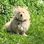 Laura Hacker Pike - @hackerpike - Instagram