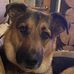 Laurie Hammer Pester - Facebook