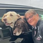 Laurie Hatch - @lhatch519 - Instagram
