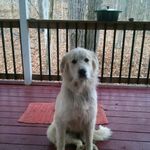 Laurie Hatcher - @laurie.hatcher - Instagram