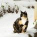 Laurie Hester - Facebook