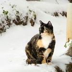 Laurie Hester - @hesterlaurie - Instagram