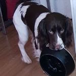 Laurie Hookway - @hookwaylaurie - Instagram