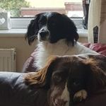 Laurie Hookway - @lauriehookway - Instagram