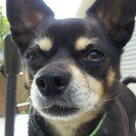 Laurie Pfeiffer Hurd - @laurieh1408 - Instagram