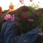 Laura Jamison - @ljam121 - Instagram