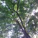 Laurie Kamp - Facebook
