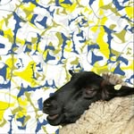 Laura Keating - @laurakeatingartist - Instagram