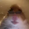 Laura Keating - @laurakeating02 - TikTok