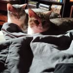Laurie Kern - @lauriekern9 - Instagram
