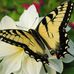 Laurie Kern - Facebook