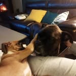 Laurie Kerneis - @laurie.kerneis.7 - Instagram