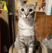 Laurie Key - Facebook