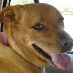 Laurie Key - @laurie_key1 - Instagram
