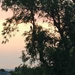 Laurie Kiser - @laurie.7005 - Instagram