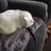 Laurie Lacy - Facebook