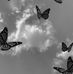 Lyara Levent - Facebook