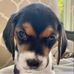 Laurie Mills Lichtenstein - Facebook