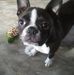 Laurie Lott - Facebook
