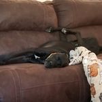 Laura Lukens - @lukens1100 - Instagram