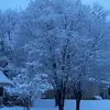 laurielundquist - @laurielundquist - TikTok