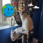 Laurie Malott - Facebook
