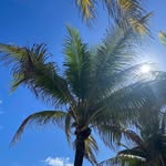 Laurie Malott Wills - @wills.laurie - Instagram