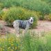 Laurie Mapes Stark - Facebook