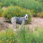 Laurie Mapes Stark - @starklaurie - Instagram