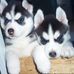 Laurie Matson - Facebook