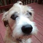 Laurie McDowell - @mcdowelllaurie - Instagram